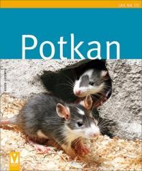 Potkan