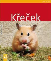 Křeček