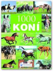 1000 koní