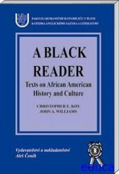 A BLACK READER