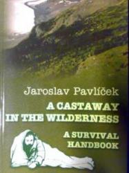 A Castaway in the Wilderness