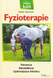 Fyzioterapie