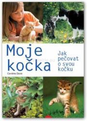 Moje kočka – jak pečovat o svou kočku