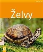 Želvy