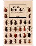 Atlas brouků