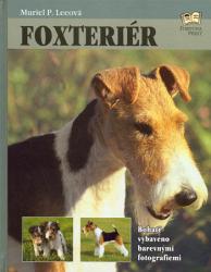 Foxteriér