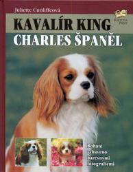 Kavalír King Charles španěl