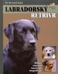 Labradorský retrívr