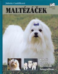 Maltézáček