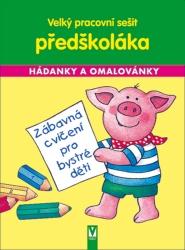 Velký pracovní sešit předškoláda