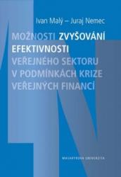 Možnosti zvyšování efektivnosti veřejného sektoru v podmínkách krize veřejných financí