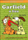 Garfield, u lizu