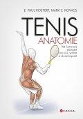 Tenis - anatomie