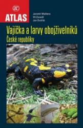 Vajíčka a larvy obojživelníků