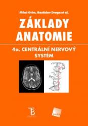 Základy anatomie. 4a. Centrální nervový systém