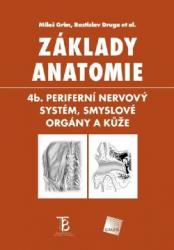 Základy anatomie. 4b. Periferní nervový systém, smyslové orgány a kůže