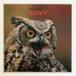 Sovy (fotografie)