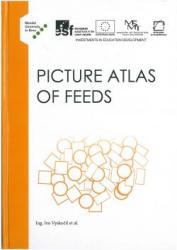 Picture Atlas of Feeds