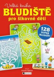 Bludiště pro šikovné děti – velká kniha