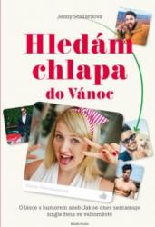 Hledám chlapa do Vánoc