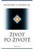 Život po životě