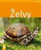 Želvy