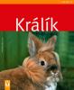 Králík