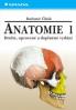 Anatomie 1