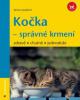 Kočka – správné krmení