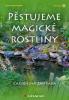 Pěstujeme magické rostliny