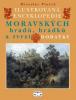 Ilustrovaná encyklopedie moravských hradů, hrádků a tvrzí – DODATKY