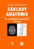 Základy anatomie. 4a. Centrální nervový systém