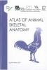 Atlas of Animal Skeletal Anatomy